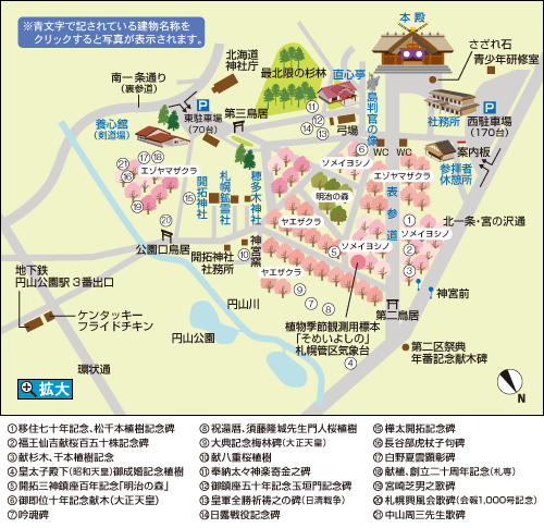 北海道神宮２０１３ １月 ３匹のウリボー